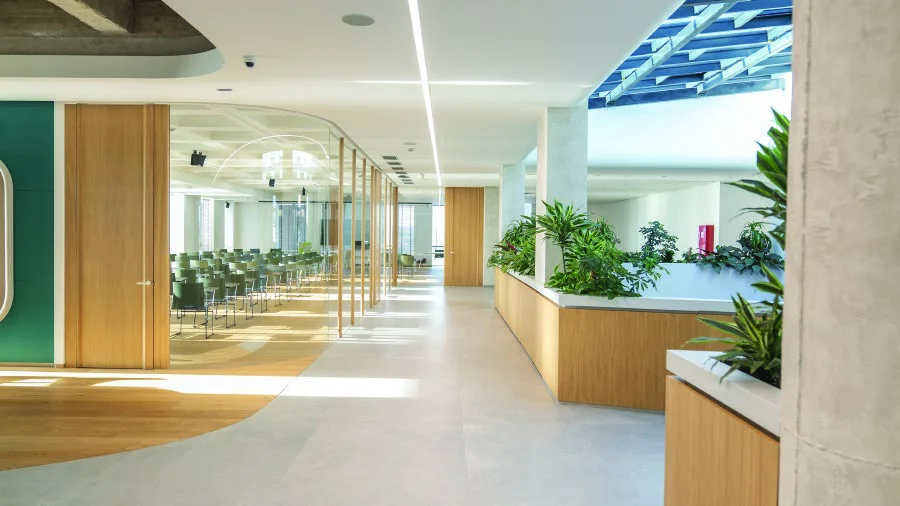 Interior corridor with glazed partitions, timber details and planted areas