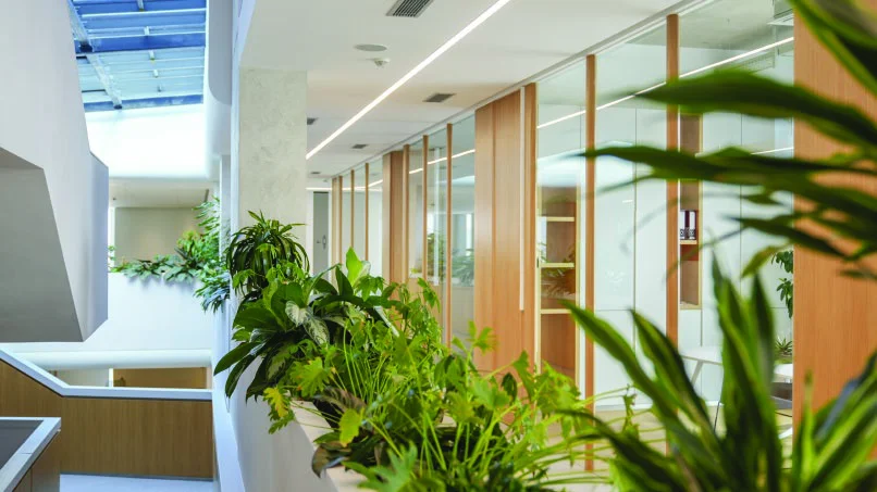 Office corridor with natural light and planted interior features